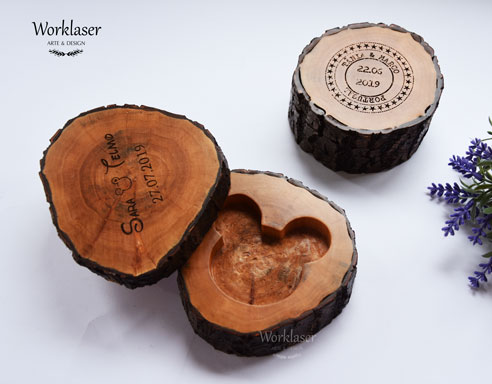 Tronco-Mickey-foto-1
